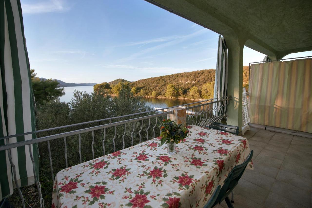 Apartmani Topolovec Luka  エクステリア 写真