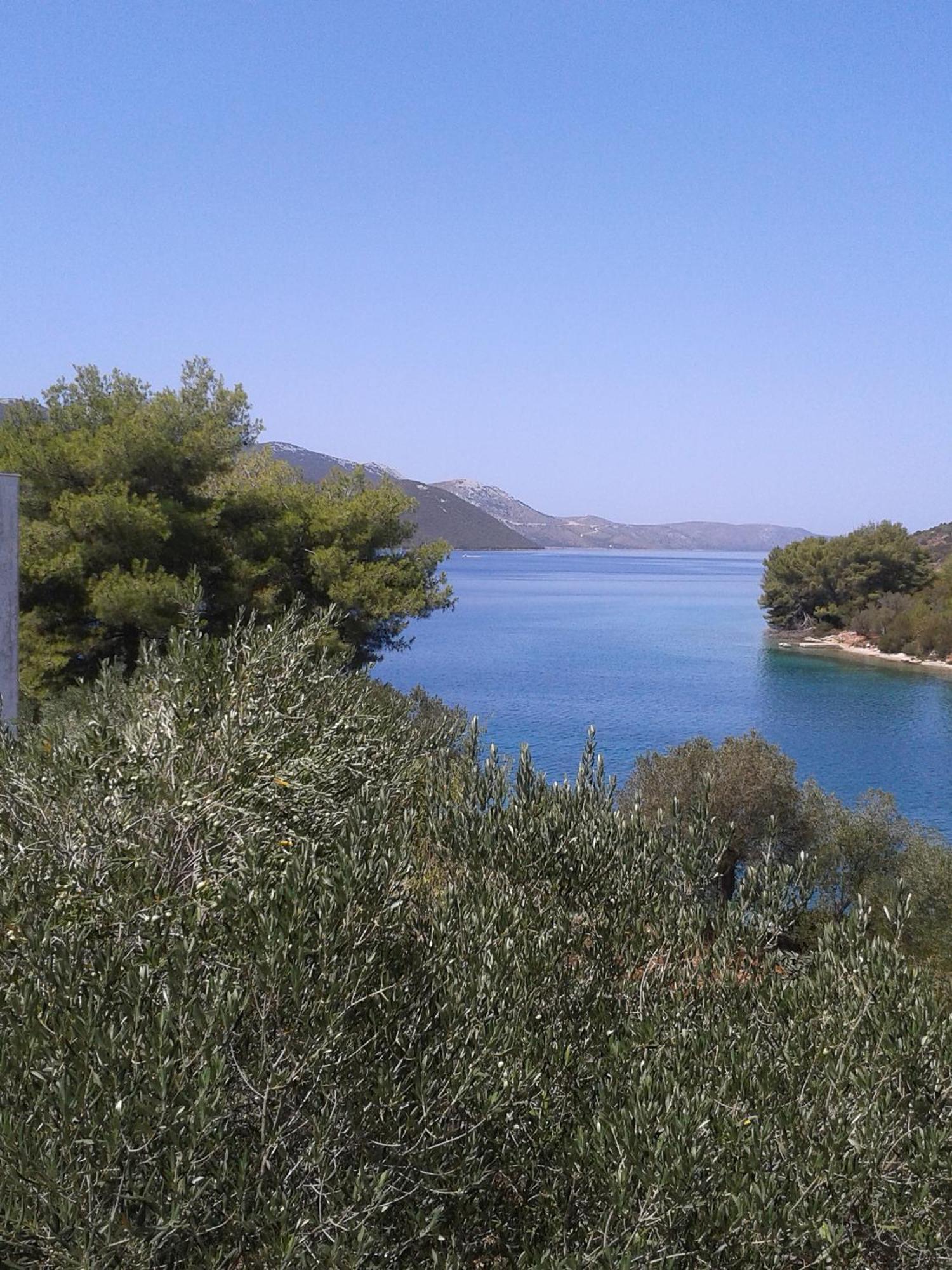 Apartmani Topolovec Luka  エクステリア 写真